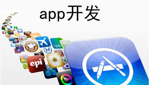 定制开发电商类app：优势与劣势的深度剖析